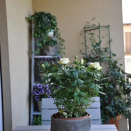 900 Apartment *
